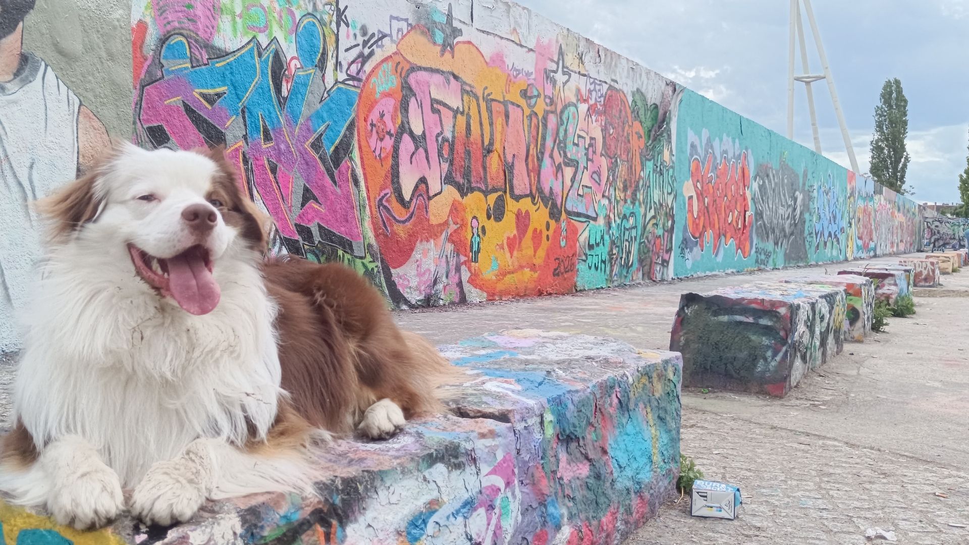 Kick-Off: Graffiti-Workshop bei kommstdumit e.V.!